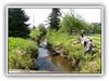 People cleaning by the stream bank