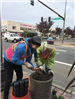 Two Volunteers Adding Soil to a Large Pot