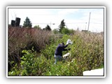 Man removing garbage from a stream bank