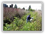 Man walking up an embankment with garbage