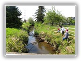 People cleaning by the stream bank